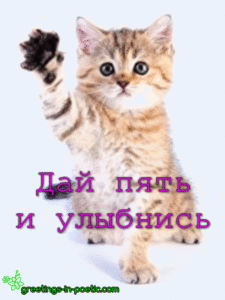 Улыбнись