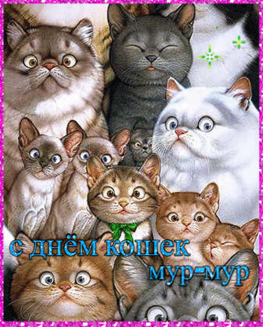 открытка с днем кошек